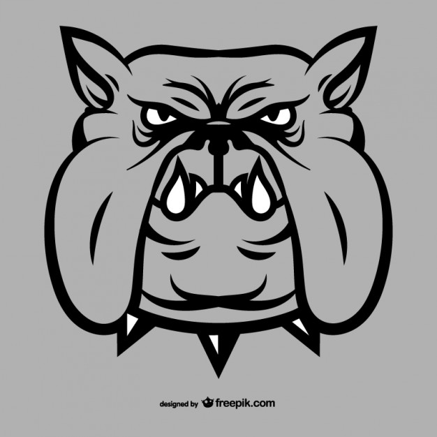 Bulldog face drawing  Vector |   Download